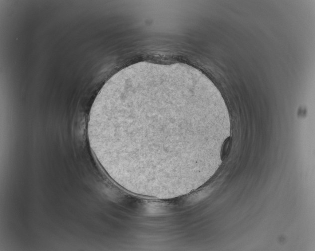 X0000116310336201001111143