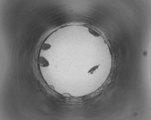 X0000116310337201001111143