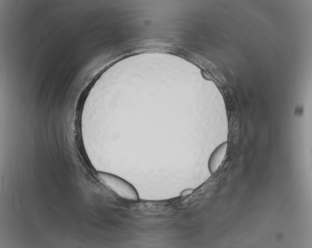 X0000116310338201001111143