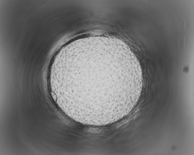 X0000116310341201001111143