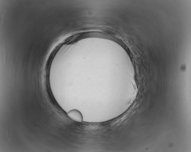 X0000116310342201001111143