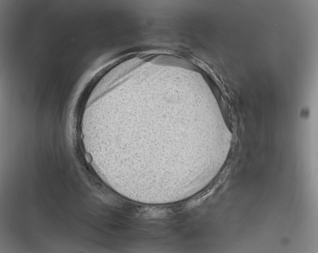 X0000116310343201001111143