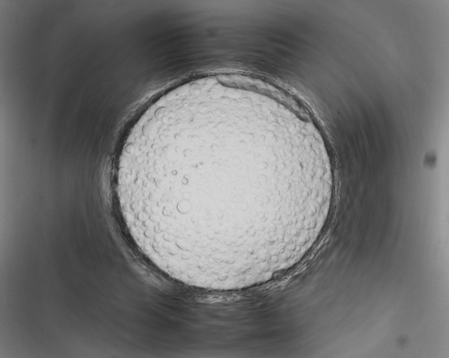 X0000116310345201001111143