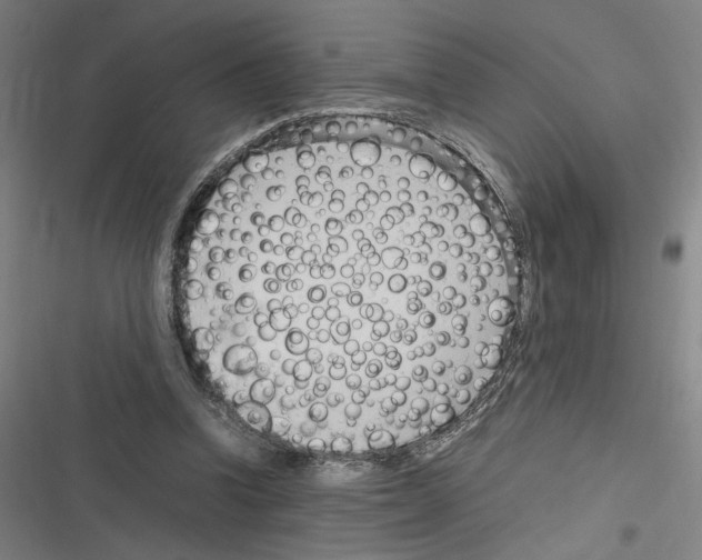 X0000116310346201001111143