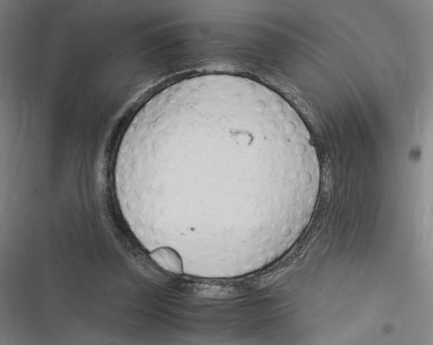 X0000116310347201001111143