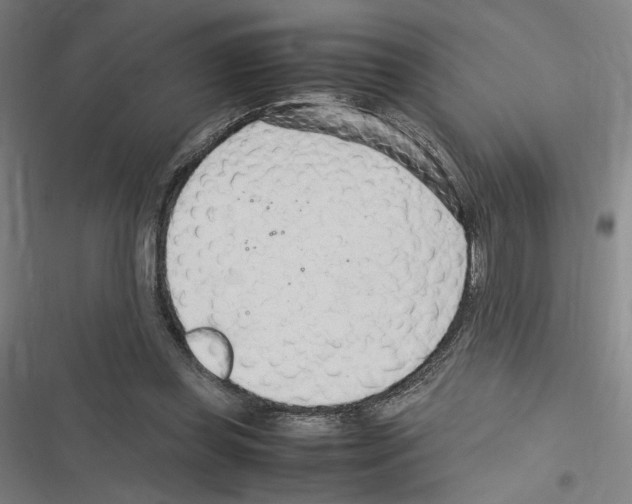 X0000116310349201001111143