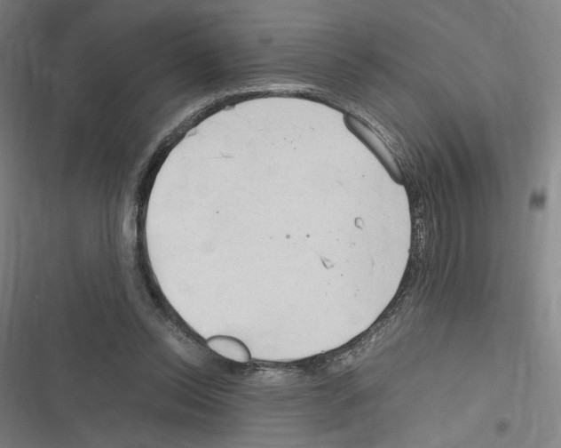 X0000116310350201001111143