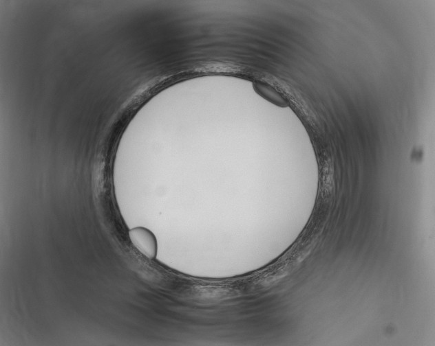 X0000116310351201001111143