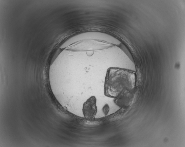 X0000116310357201001111143