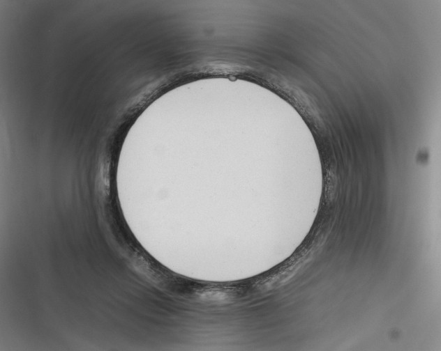 X0000116310358201001111143