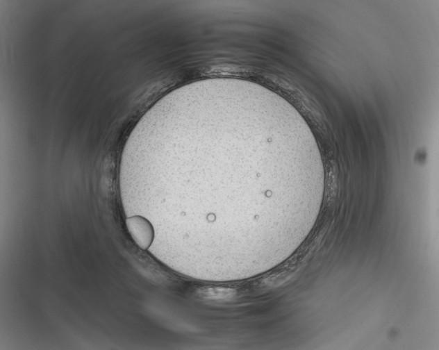 X0000116310361201001111143