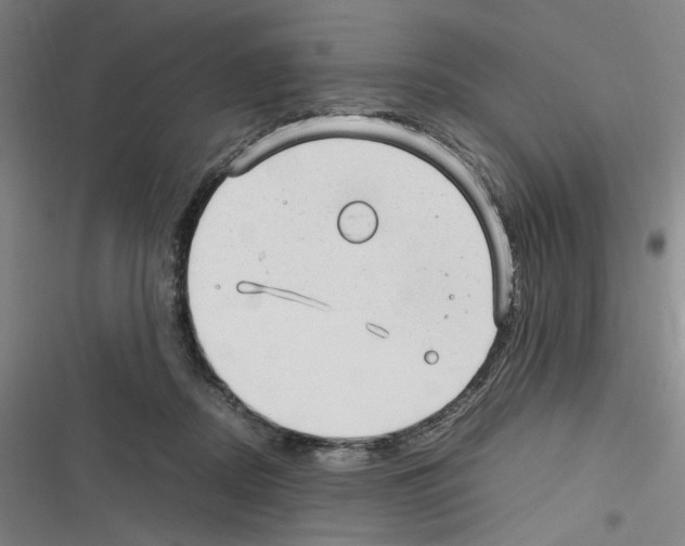 X0000116310362201001111143