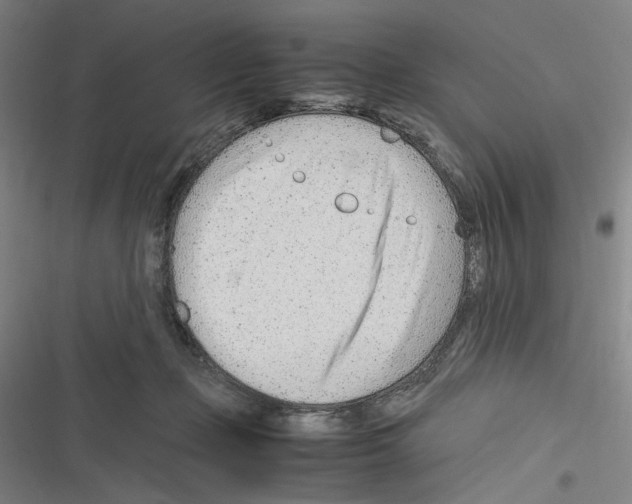 X0000116310365201001111143