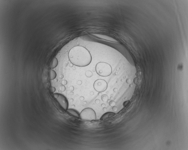 X0000116310367201001111143