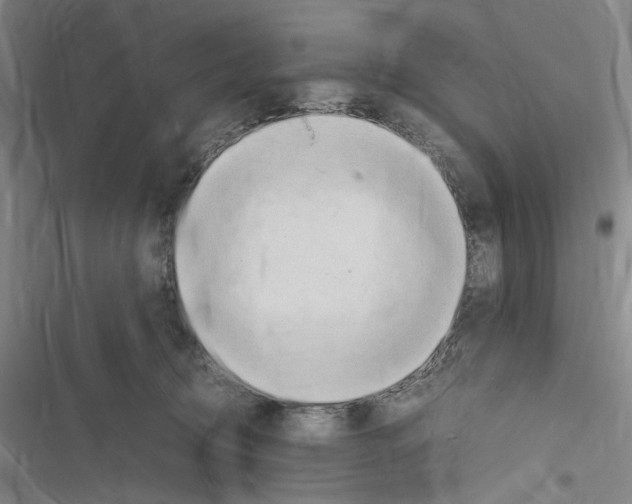 X0000116310370201001111143