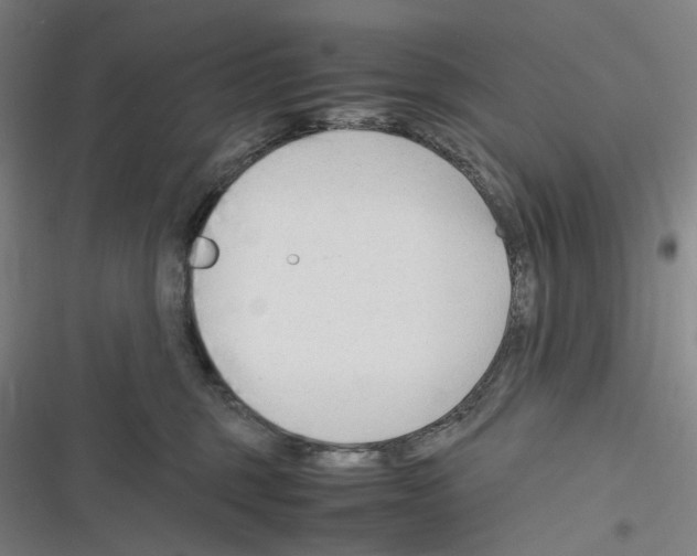 X0000116310375201001111143