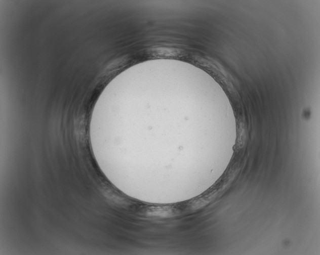 X0000116310377201001111143