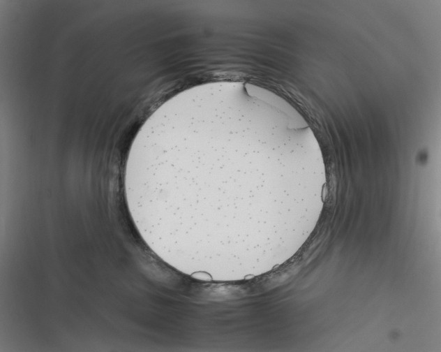 X0000116310379201001111143