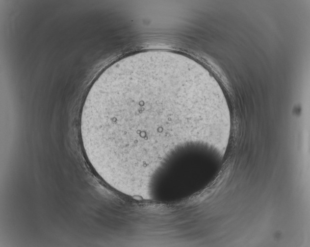 X0000116310385201001111143