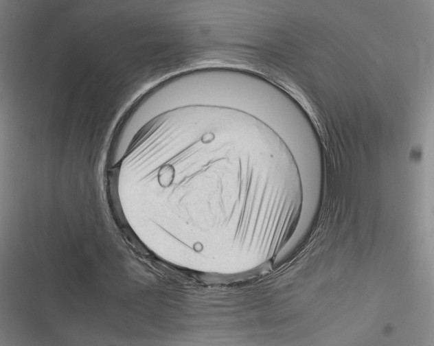 X0000116310387201001111143