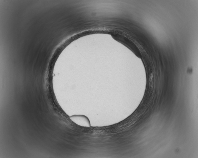 X0000116310388201001111143