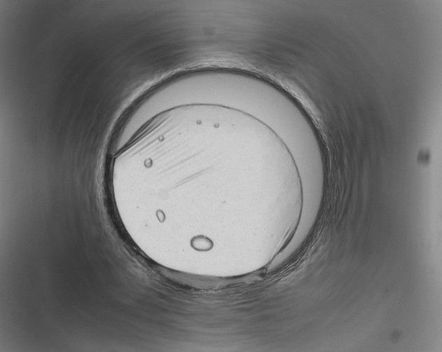 X0000116310391201001111143