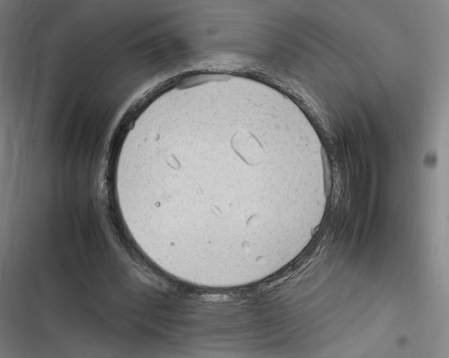 X0000116310392201001111143