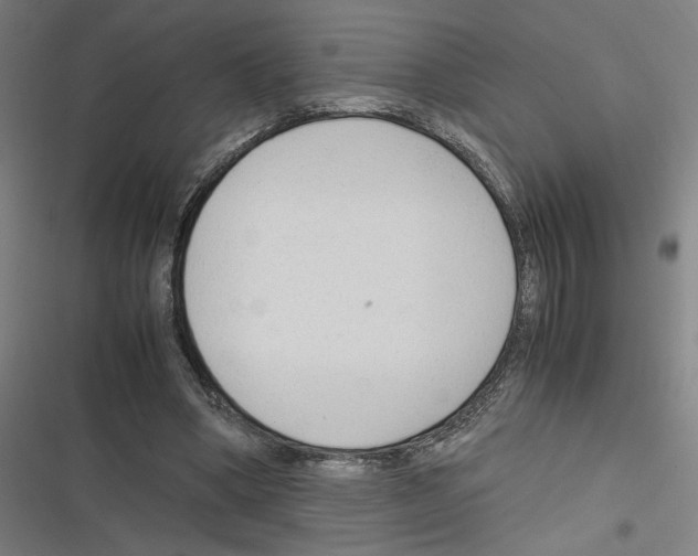 X0000116310394201001111143