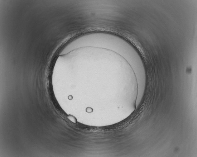 X0000116310395201001111143