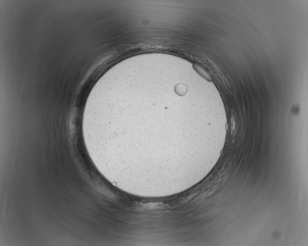 X0000116310396201001111143