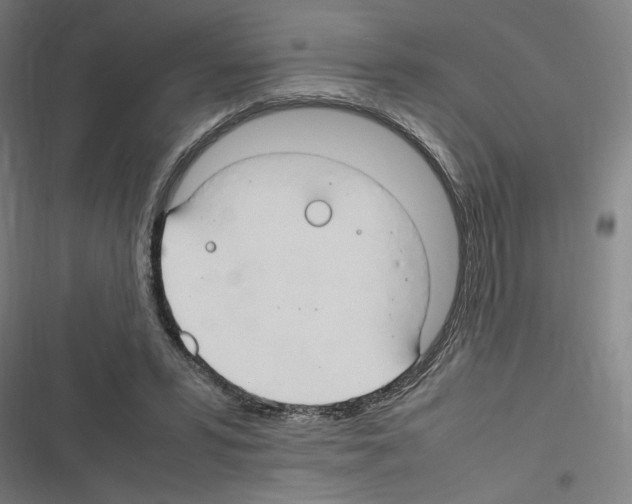 X0000116310399201001111142