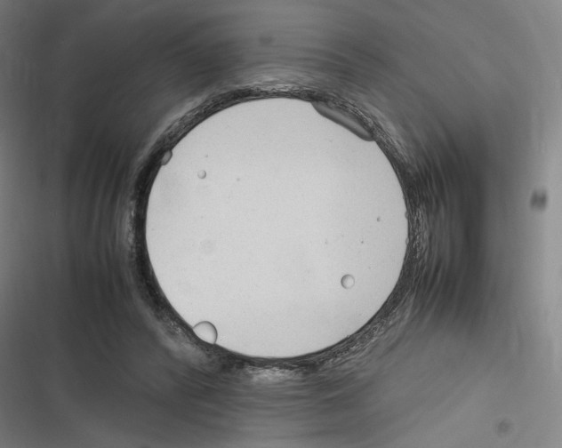 X0000116310400201001111142