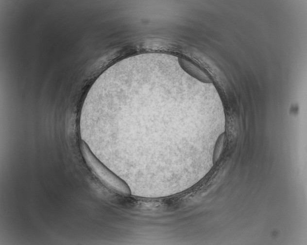 X0000116310401201001111142