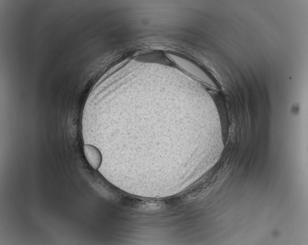 X0000116310402201001111142