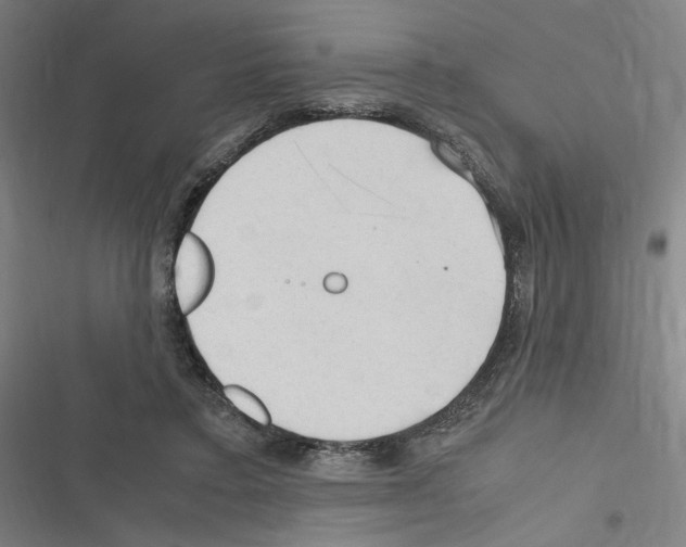 X0000116310403201001111142