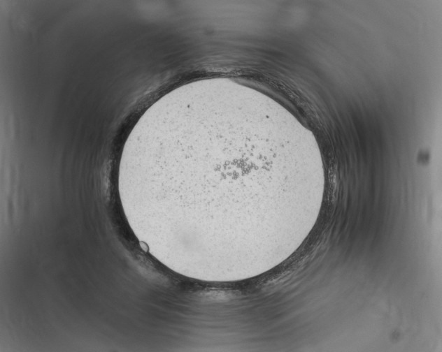 X0000116310404201001111142