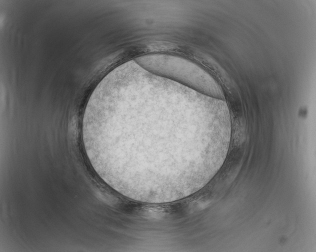 X0000116310405201001111142