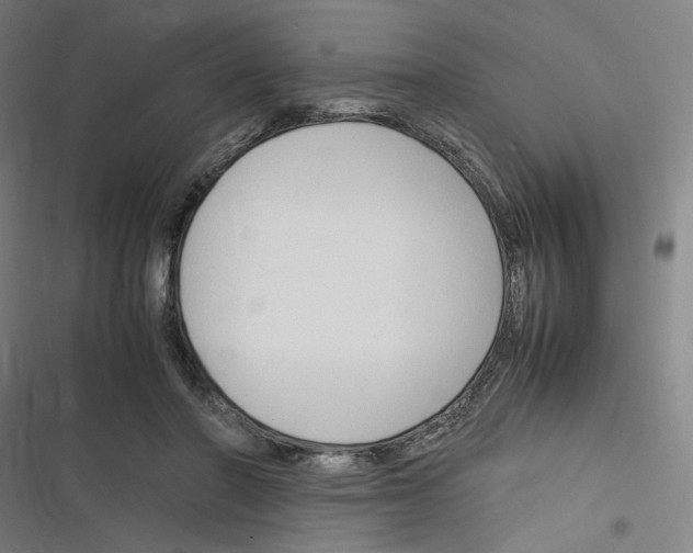 X0000116310406201001111142