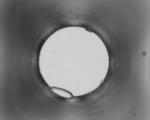 X0000116310407201001111142