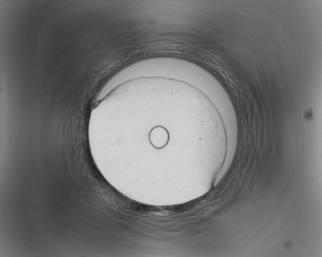 X0000116310411201001111142