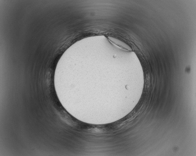 X0000116310412201001111142