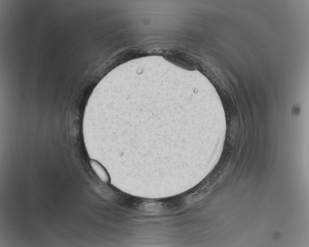 X0000116310413201001111142