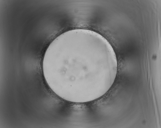 X0000116310415201001111142