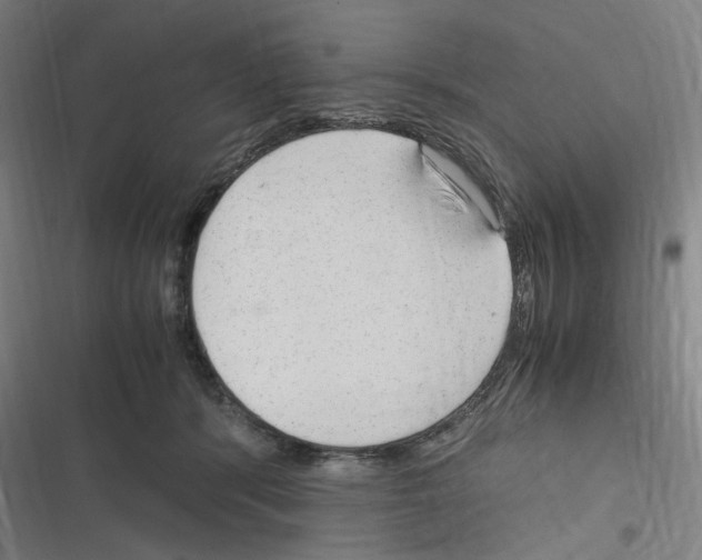 X0000116310416201001111142