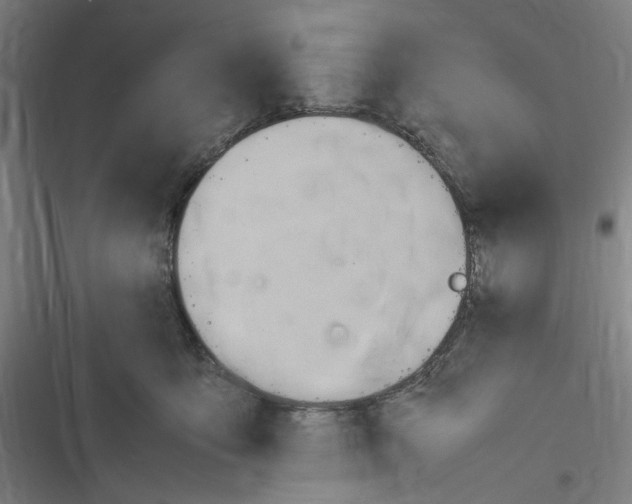 X0000116310419201001111142