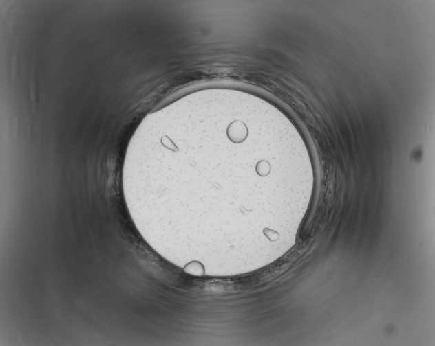 X0000116310420201001111142