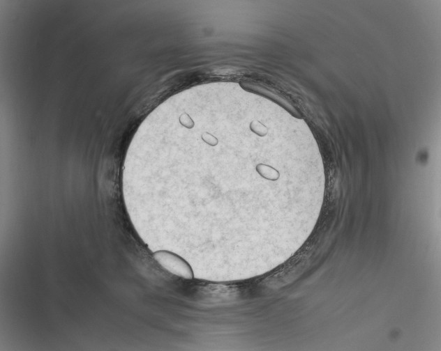 X0000116310421201001111142