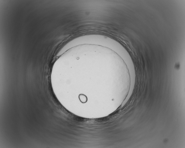 X0000116310423201001111142