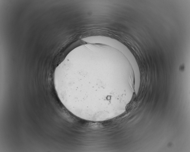 X0000116310424201001111142