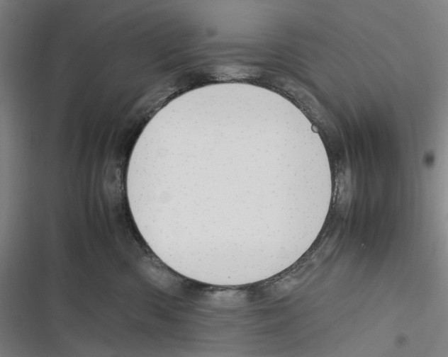 X0000116310426201001111142